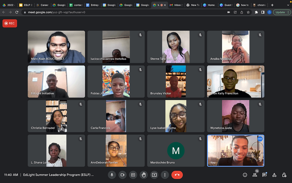ESLP virtual seminar session — fellows and speakers on a Zoom call